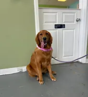 processed/9d9cb12d-5261-4a02-b31f-09645a1bc823/facility/7c711efb-72d3-45a4-8b8c-68fab51b1645