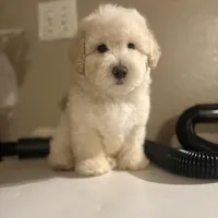 processed/9d9cb12d-5261-4a02-b31f-09645a1bc823/facility/8a90b0e3-751d-4764-8221-f5193c890831