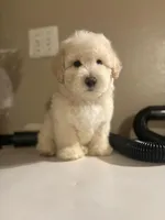 processed/9d9cb12d-5261-4a02-b31f-09645a1bc823/facility/8a90b0e3-751d-4764-8221-f5193c890831