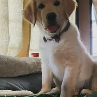 processed/9d9cb12d-5261-4a02-b31f-09645a1bc823/facility/92949db9-04ee-4b7f-afce-cfd5acc25815