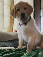 processed/9d9cb12d-5261-4a02-b31f-09645a1bc823/facility/92949db9-04ee-4b7f-afce-cfd5acc25815