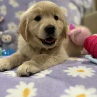 processed/9d9cb12d-5261-4a02-b31f-09645a1bc823/facility/a8ae6b8d-ec05-4dca-bb11-d315e432519a