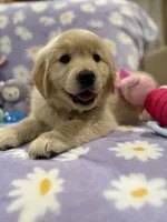 processed/9d9cb12d-5261-4a02-b31f-09645a1bc823/facility/a8ae6b8d-ec05-4dca-bb11-d315e432519a