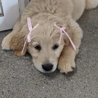 processed/9d9cb12d-5261-4a02-b31f-09645a1bc823/facility/d6260d3c-3ce6-4c03-a3d0-b04f569b3bbf