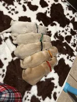 Red band, a male Golden Retriever for sale in Chino, CA – 2 of 2