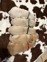 Green band , a male Golden Retriever for sale in Chino, CA – 2 of 2