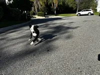 processed/9d9cb12d-5261-4a02-b31f-09645a1bc823/listing/fdf7ce26-28d6-4693-8608-fa6756e7b84d/665c6f5d-1b86-462a-ae67-0f40c319f889