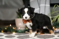 processed/9da6fe63-c4cf-42ca-a2f7-64c1ac571615/listing/c4260035-7750-4303-bbe7-dc9dbd7075ae/9e2292ef-2063-4dd2-97ff-1df170502bc6