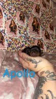Apollo, a male Yorkshire Terrier for sale in Marietta, GA – 2 of 2