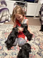 processed/9dc49e11-a02c-43aa-9854-cc4f5489560f/facility/099ae566-ff4c-408e-a142-ca5a7a168a4d