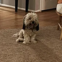 processed/9dc49e11-a02c-43aa-9854-cc4f5489560f/facility/7cfae001-02a6-4c47-b4d0-3eaf41cd9c10