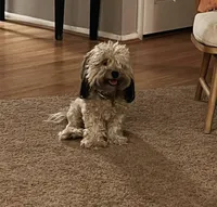 processed/9dc49e11-a02c-43aa-9854-cc4f5489560f/facility/7cfae001-02a6-4c47-b4d0-3eaf41cd9c10