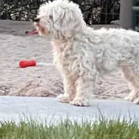 processed/9dc49e11-a02c-43aa-9854-cc4f5489560f/facility/99ada212-6e6e-4abe-bb29-47b1941fa7b7