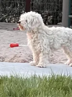 processed/9dc49e11-a02c-43aa-9854-cc4f5489560f/facility/99ada212-6e6e-4abe-bb29-47b1941fa7b7