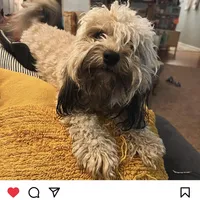 processed/9dc49e11-a02c-43aa-9854-cc4f5489560f/facility/b4f670ab-709d-4bc4-9c7b-ee7b98c76905