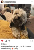 processed/9dc49e11-a02c-43aa-9854-cc4f5489560f/facility/b4f670ab-709d-4bc4-9c7b-ee7b98c76905