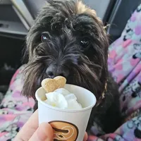 processed/9dc49e11-a02c-43aa-9854-cc4f5489560f/facility/df8e9a17-dccb-4b8f-8e53-1a2923b2c61b