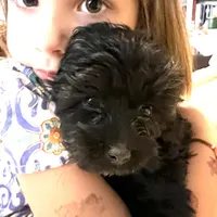 processed/9dc49e11-a02c-43aa-9854-cc4f5489560f/facility/e1f5be67-abca-48c3-9c74-7aed954cc15d