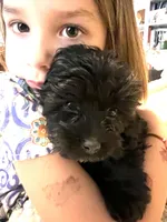 processed/9dc49e11-a02c-43aa-9854-cc4f5489560f/facility/e1f5be67-abca-48c3-9c74-7aed954cc15d