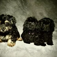 processed/9dc49e11-a02c-43aa-9854-cc4f5489560f/facility/f2da0b15-07b8-4945-9c2d-92bf5ea97dee