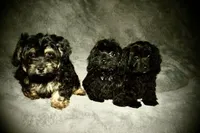 processed/9dc49e11-a02c-43aa-9854-cc4f5489560f/facility/f2da0b15-07b8-4945-9c2d-92bf5ea97dee