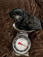 processed/9dc49e11-a02c-43aa-9854-cc4f5489560f/listing/0f3339f4-edb5-46ba-9e09-46b0f5563d37/87aa60d4-8b9a-42ef-9352-770792b08bb3