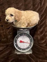 processed/9dc49e11-a02c-43aa-9854-cc4f5489560f/listing/20777e16-09b4-4c08-a9d2-ffb7be87036c/af574502-d5bf-43ef-b123-52adbbf1cc52