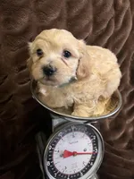 processed/9dc49e11-a02c-43aa-9854-cc4f5489560f/listing/20777e16-09b4-4c08-a9d2-ffb7be87036c/c4732e3c-302e-4ad6-9175-95464d7e9441