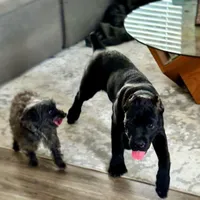 processed/9dca9c99-e237-4dbe-8de1-d2aa59a98178/facility/11b28812-0eed-49a8-b9aa-895a1b3a2a35