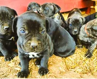 processed/9dca9c99-e237-4dbe-8de1-d2aa59a98178/facility/14137aba-9d4e-4032-9f19-1f652cd28345