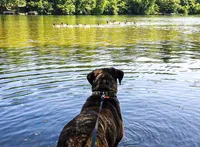 processed/9dca9c99-e237-4dbe-8de1-d2aa59a98178/facility/20ffd042-b61a-463f-a523-cc4696b2fb92