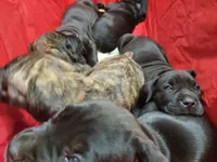 processed/9dca9c99-e237-4dbe-8de1-d2aa59a98178/facility/2b3ddd5f-9c63-483e-9091-a92cbc5140b3