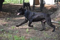 processed/9dca9c99-e237-4dbe-8de1-d2aa59a98178/facility/33851b5d-6326-4213-a71f-17cbf45ad429