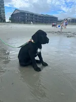 processed/9dca9c99-e237-4dbe-8de1-d2aa59a98178/facility/7549b921-e512-4f40-a59a-c3fe73c7a7ed