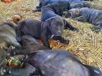 processed/9dca9c99-e237-4dbe-8de1-d2aa59a98178/facility/bbdb6fc9-2c2b-4b25-a67c-2f302777e184