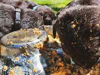 processed/9dca9c99-e237-4dbe-8de1-d2aa59a98178/facility/d4e98ed5-9822-4c10-81a6-c5de2542e667