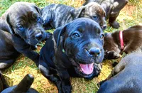 processed/9dca9c99-e237-4dbe-8de1-d2aa59a98178/facility/f4226f1f-7b67-4a60-9daf-ff91464fa988