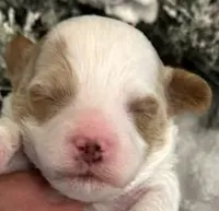 processed/9dcf0b37-5340-40e1-bae9-709ac4ee9972/listing/198039f5-0aa7-4232-a4c6-c04e2011bbee/542182cd-bee4-4e80-8bd3-3b06f97daf14