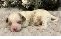 processed/9dcf0b37-5340-40e1-bae9-709ac4ee9972/listing/198039f5-0aa7-4232-a4c6-c04e2011bbee/5aac3137-03af-4b25-a99b-3f4f90d5f28b