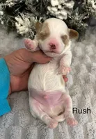 processed/9dcf0b37-5340-40e1-bae9-709ac4ee9972/listing/198039f5-0aa7-4232-a4c6-c04e2011bbee/96eb30b5-c50f-4cba-9835-514a30aa0794