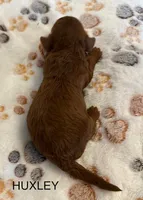 processed/9dcf0b37-5340-40e1-bae9-709ac4ee9972/listing/366647ff-47a0-444f-8a58-e322b28c1a9f/21aaf7e4-c0fa-4833-b3fd-49453a6cafa0