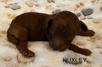 processed/9dcf0b37-5340-40e1-bae9-709ac4ee9972/listing/366647ff-47a0-444f-8a58-e322b28c1a9f/52b2f887-6a4b-4a83-8704-d1a9c1e5149b