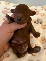 processed/9dcf0b37-5340-40e1-bae9-709ac4ee9972/listing/366647ff-47a0-444f-8a58-e322b28c1a9f/80a65d90-e4c4-4a05-a759-4ec0833261ea