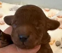 processed/9dcf0b37-5340-40e1-bae9-709ac4ee9972/listing/366647ff-47a0-444f-8a58-e322b28c1a9f/c446befe-f280-41d5-b821-283000ab2663