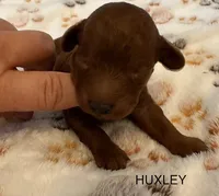 processed/9dcf0b37-5340-40e1-bae9-709ac4ee9972/listing/366647ff-47a0-444f-8a58-e322b28c1a9f/d04d792b-1b52-418e-8b74-15ebdb6b27f9