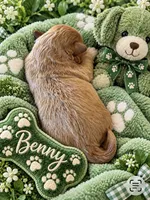 BENNY, a male Maltipoo for sale in Fayetteville, AR – 2 of 4