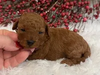 processed/9dcf0b37-5340-40e1-bae9-709ac4ee9972/listing/450f9f9a-8feb-4cf3-9e42-389470f368c7/993dc5f1-4afa-43ae-8a01-713f29a800e4