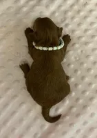 processed/9dcf0b37-5340-40e1-bae9-709ac4ee9972/listing/95008915-28c9-45c1-9626-88ca89cb82ca/36fcafcc-3705-4806-a597-8e055aeef273