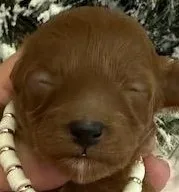 processed/9dcf0b37-5340-40e1-bae9-709ac4ee9972/listing/95008915-28c9-45c1-9626-88ca89cb82ca/cfaaa18f-9fd6-4406-bb5e-5e5a42376227