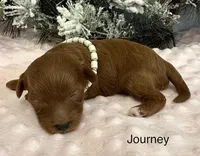 processed/9dcf0b37-5340-40e1-bae9-709ac4ee9972/listing/95008915-28c9-45c1-9626-88ca89cb82ca/e82fb96e-bac1-476d-a4e2-e042a09481ee